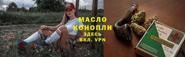 гашик Верхний Тагил